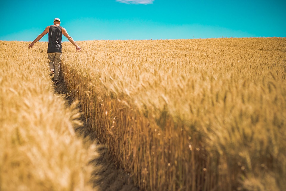 Trovare lavoro in campagna nel settore agricolo Trovare lavoro in campagna