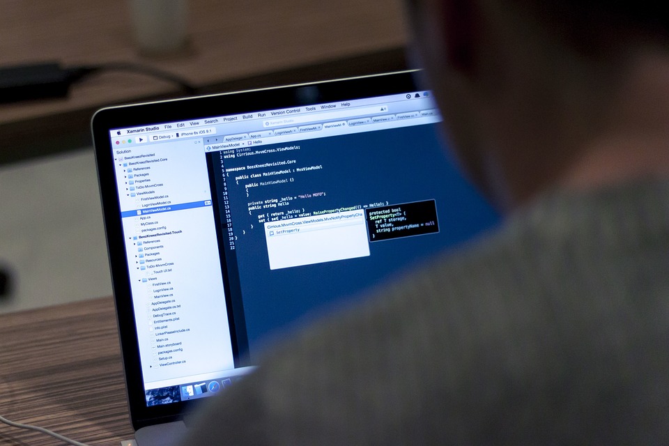 Quanto guadagna un programmatore Quanto guadagna un programmatore e quali mansioni svolge