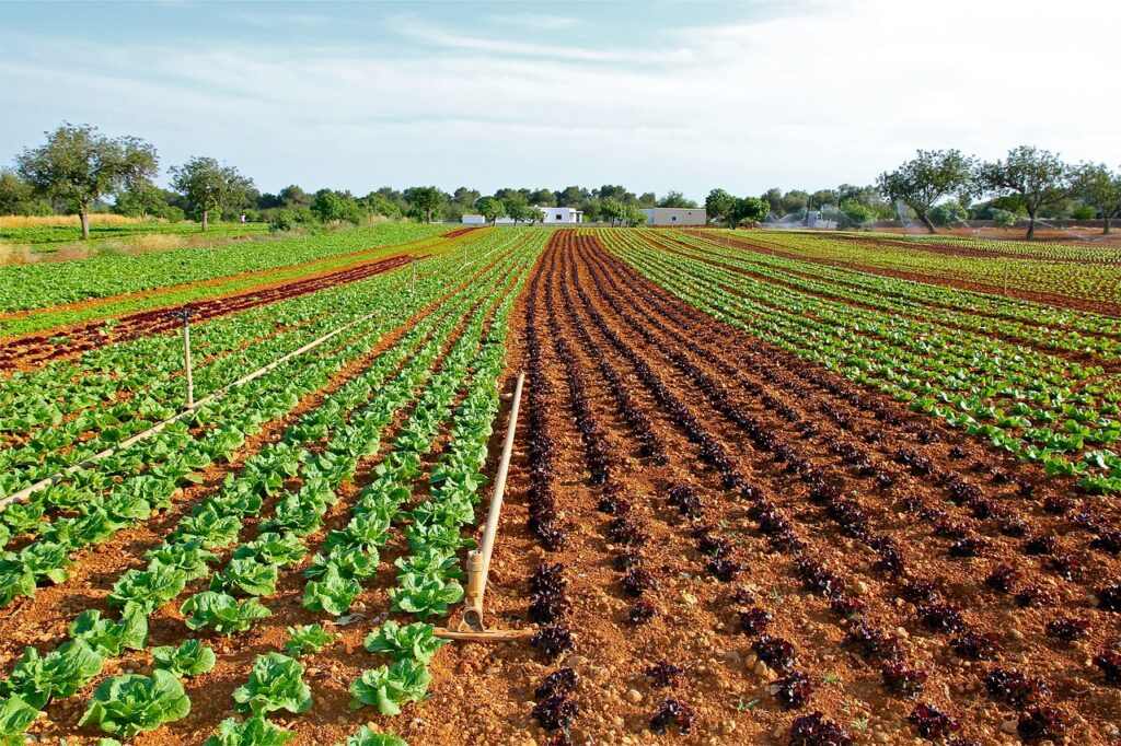 bonus-e-commerce-agricoltura-2023-2024